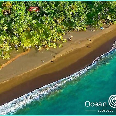 Ocean Forest Ecolodge San Pedrillo Exteriör bild