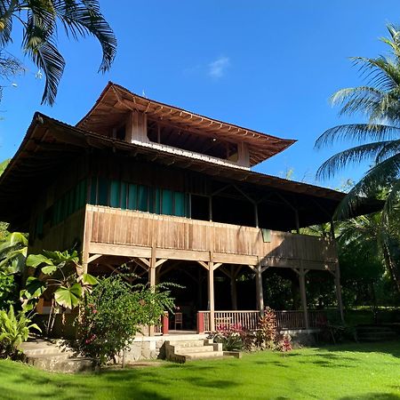 Ocean Forest Ecolodge San Pedrillo Exteriör bild