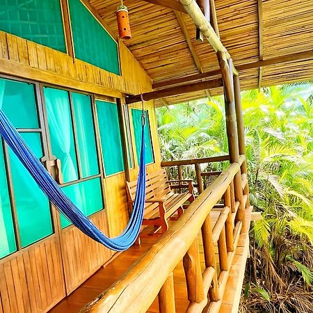 Ocean Forest Ecolodge San Pedrillo Exteriör bild