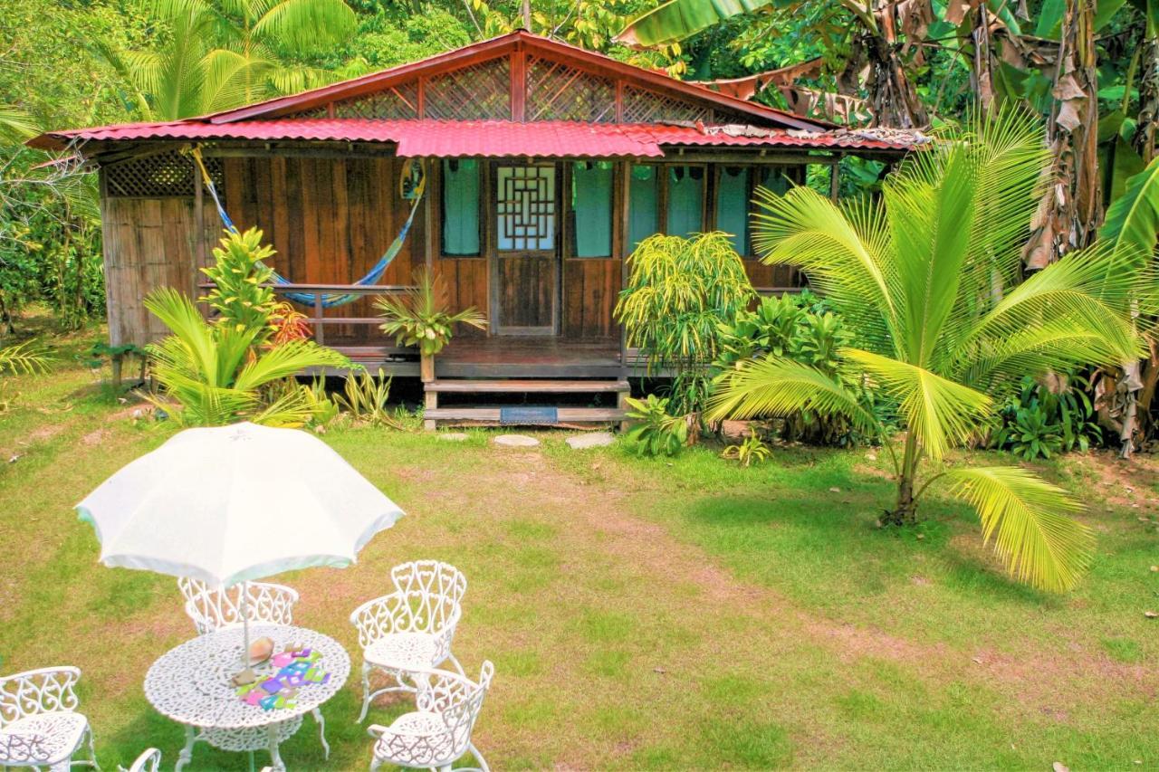 Ocean Forest Ecolodge San Pedrillo Exteriör bild