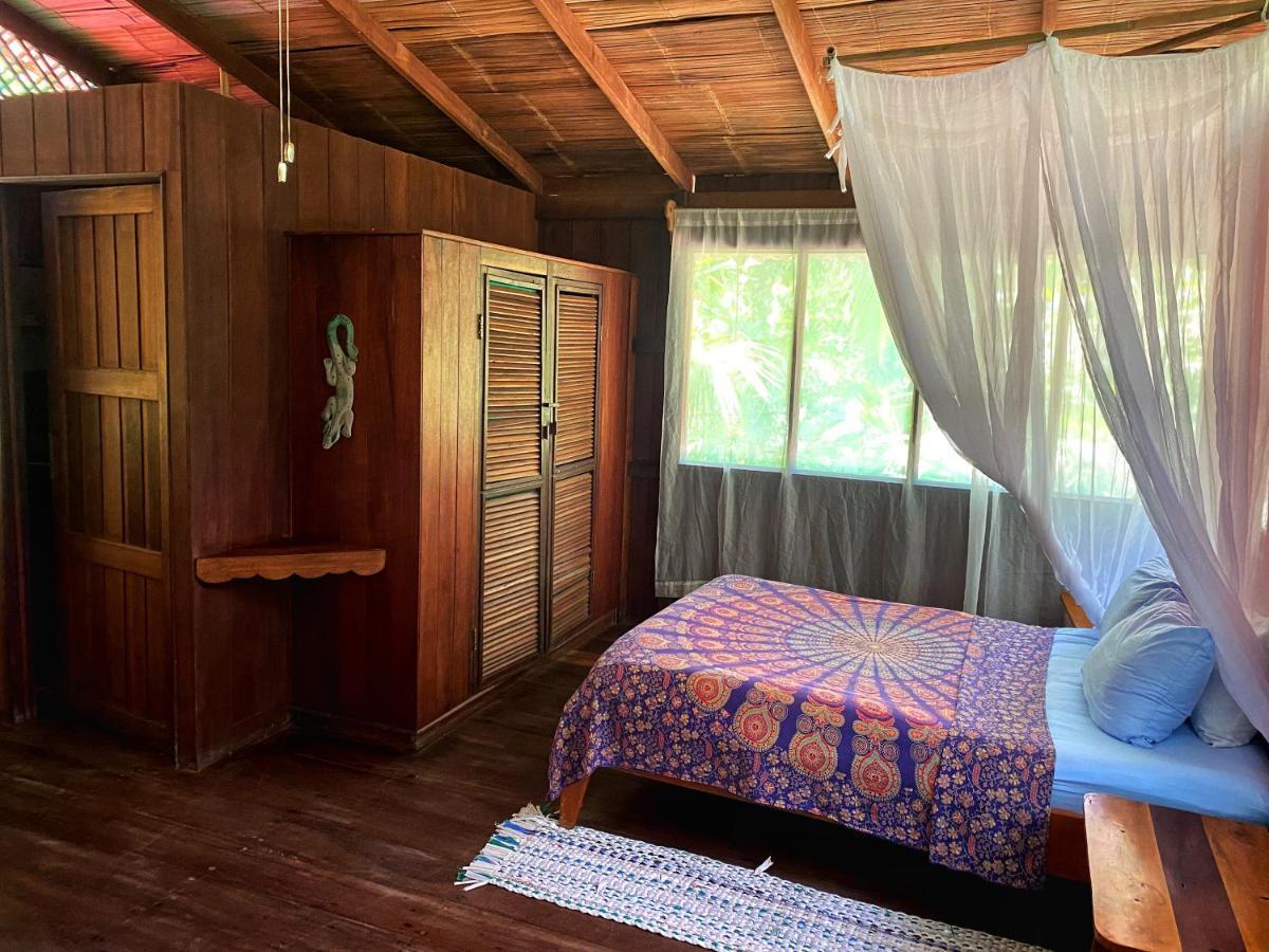 Ocean Forest Ecolodge San Pedrillo Exteriör bild