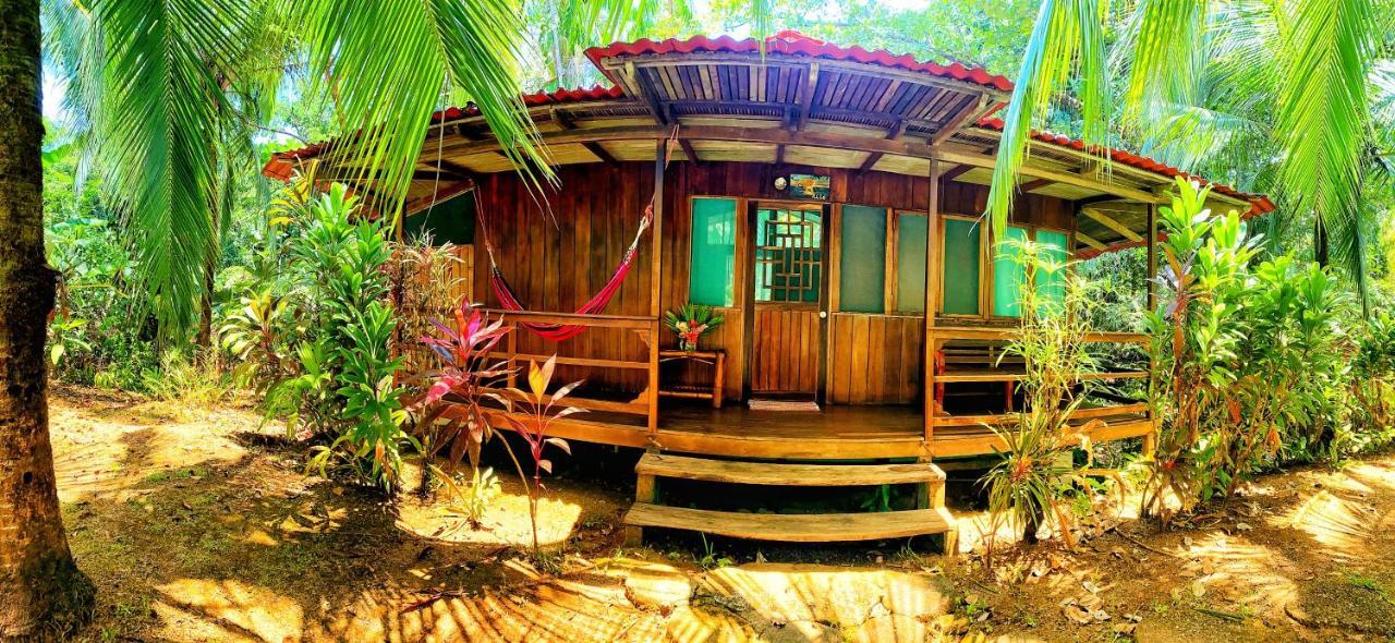 Ocean Forest Ecolodge San Pedrillo Exteriör bild