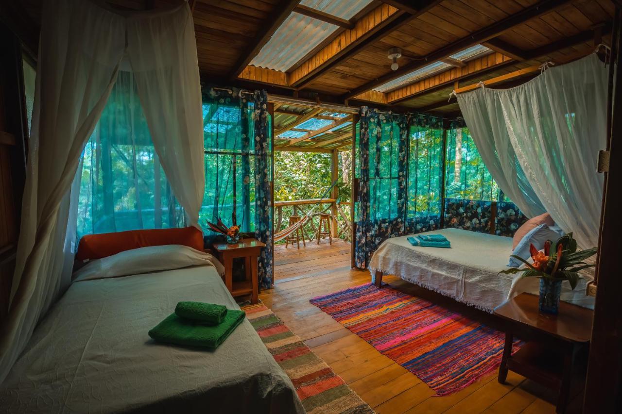 Ocean Forest Ecolodge San Pedrillo Exteriör bild
