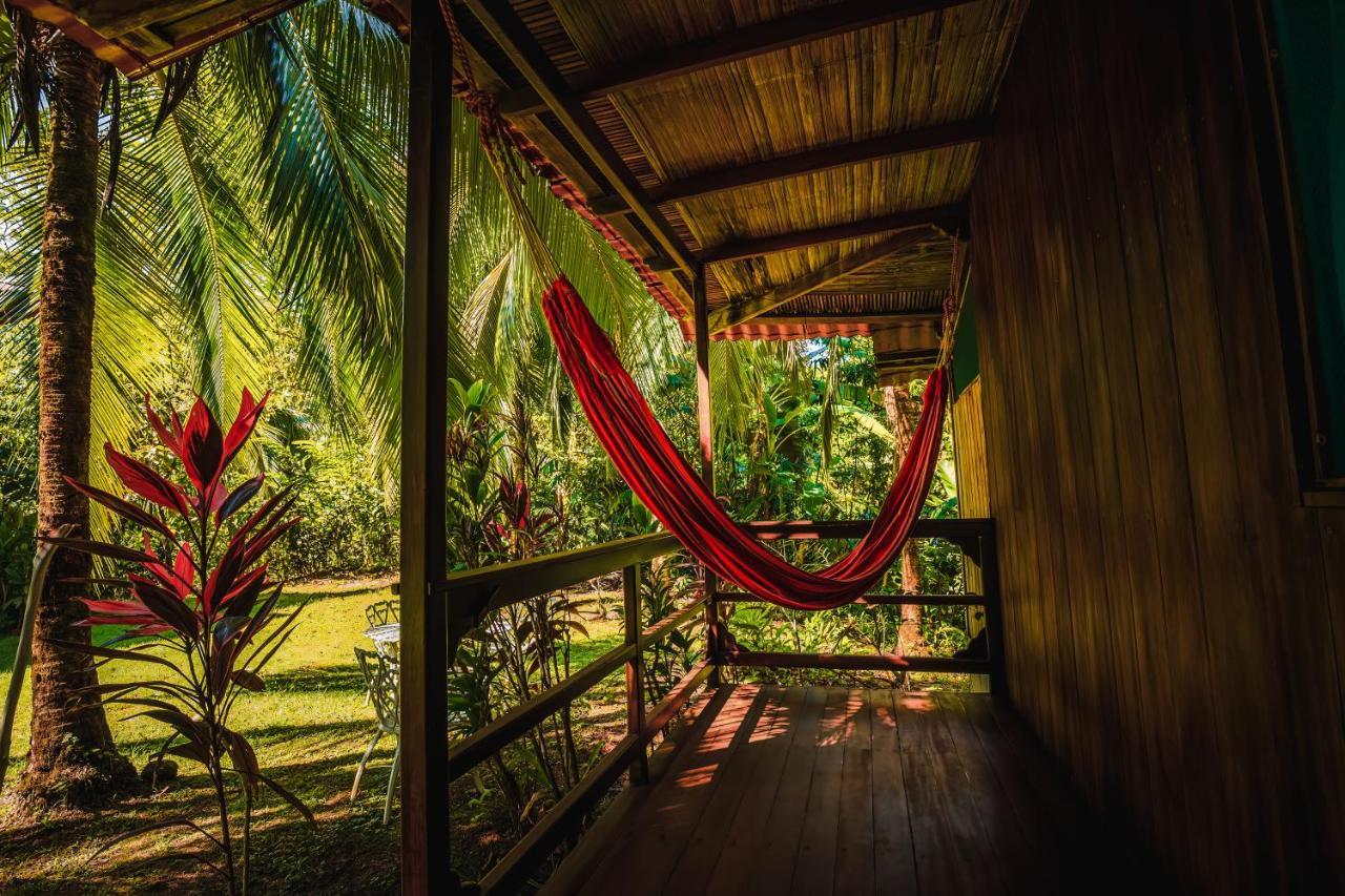 Ocean Forest Ecolodge San Pedrillo Exteriör bild