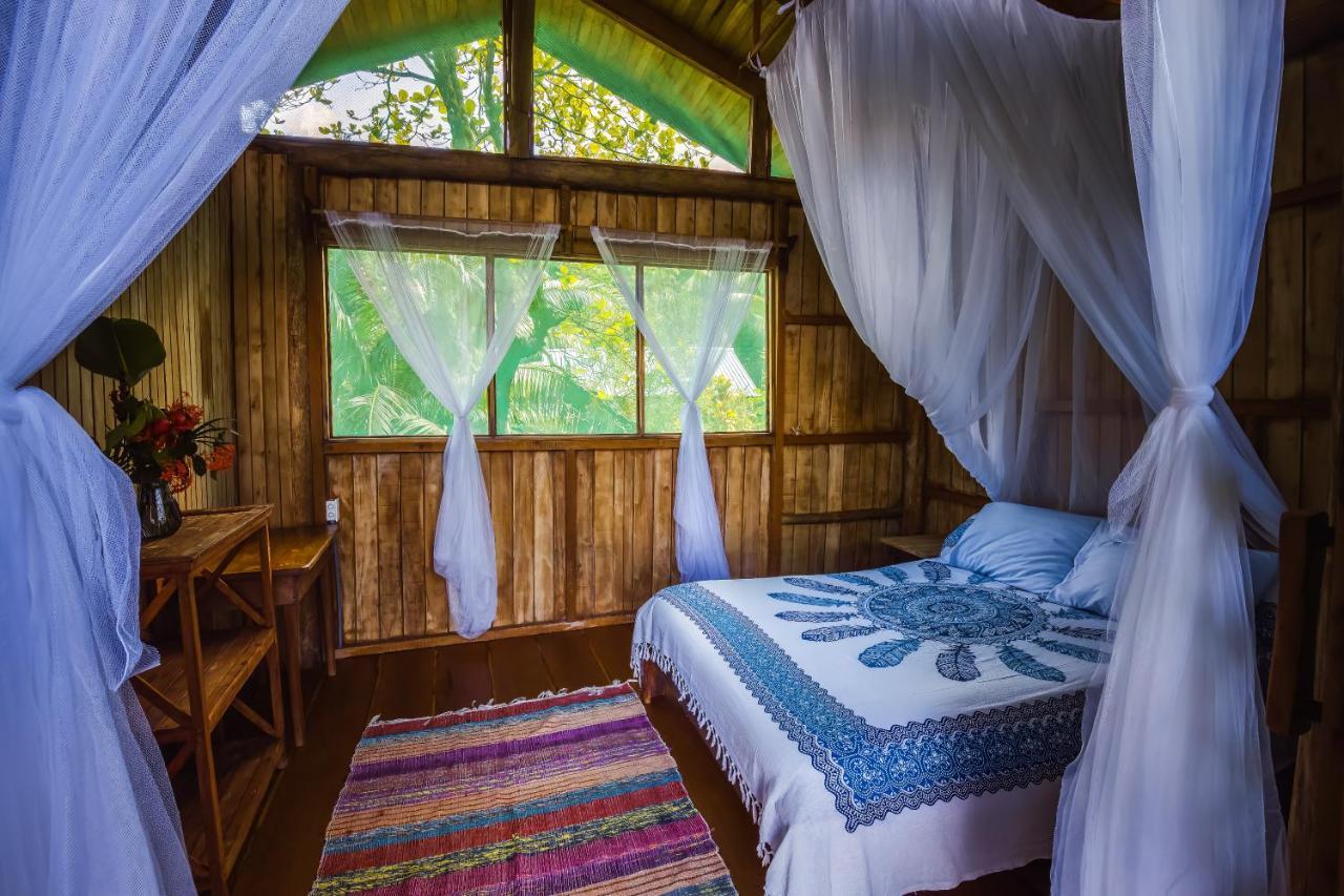 Ocean Forest Ecolodge San Pedrillo Exteriör bild