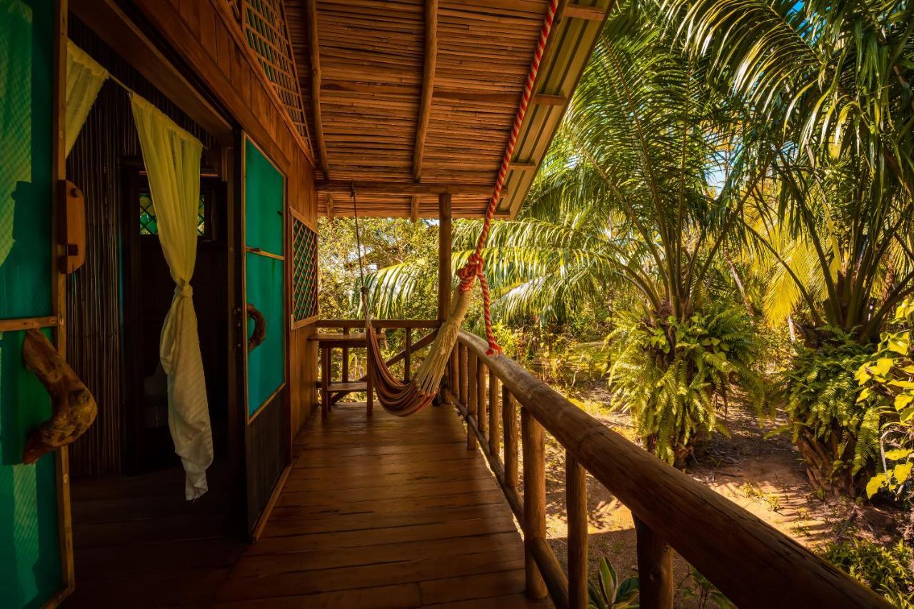 Ocean Forest Ecolodge San Pedrillo Exteriör bild