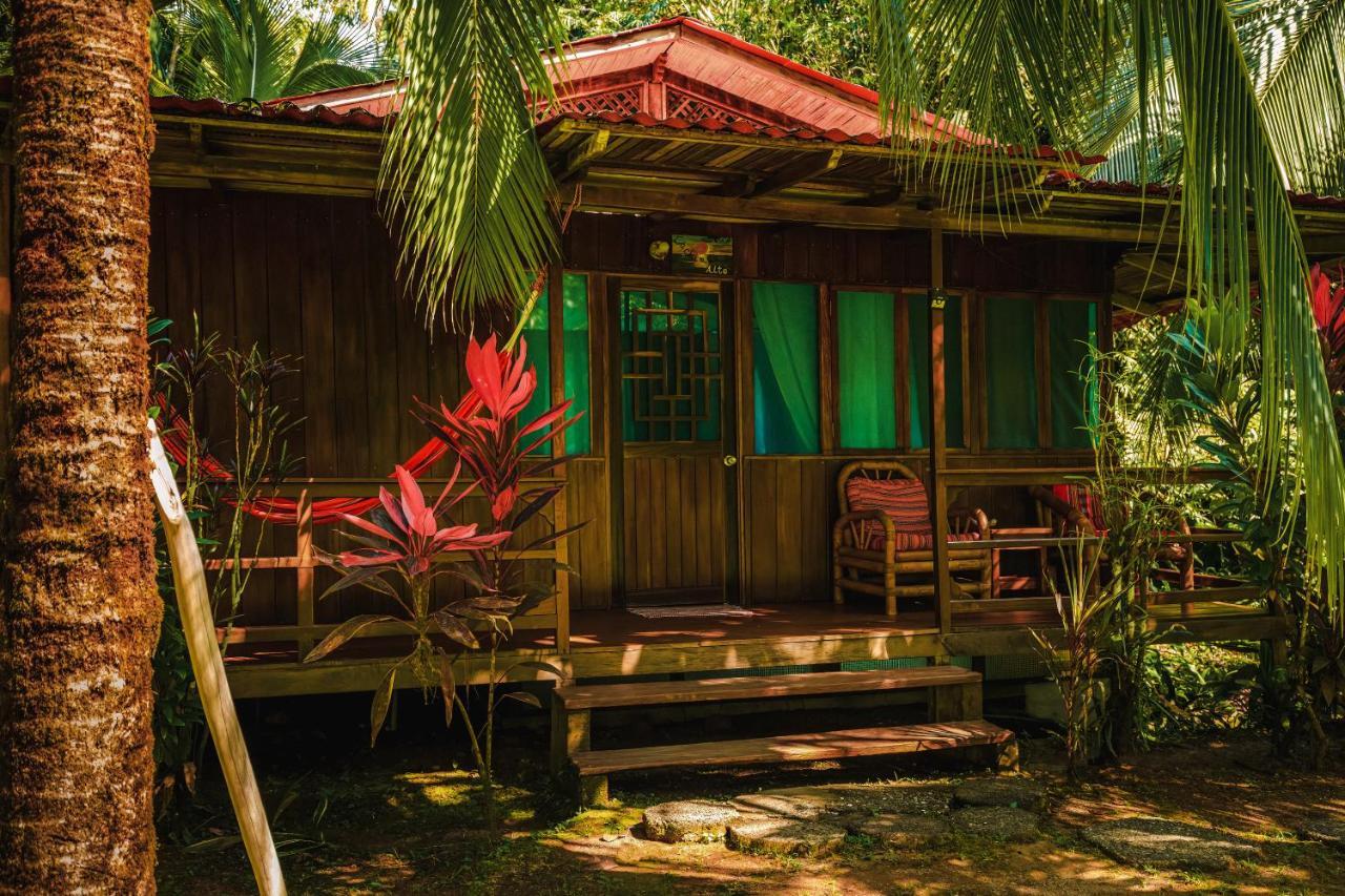 Ocean Forest Ecolodge San Pedrillo Exteriör bild