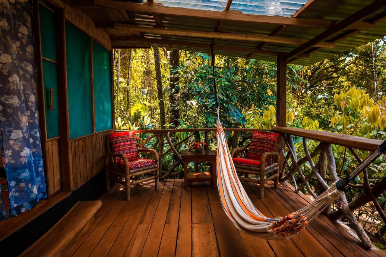 Ocean Forest Ecolodge San Pedrillo Exteriör bild