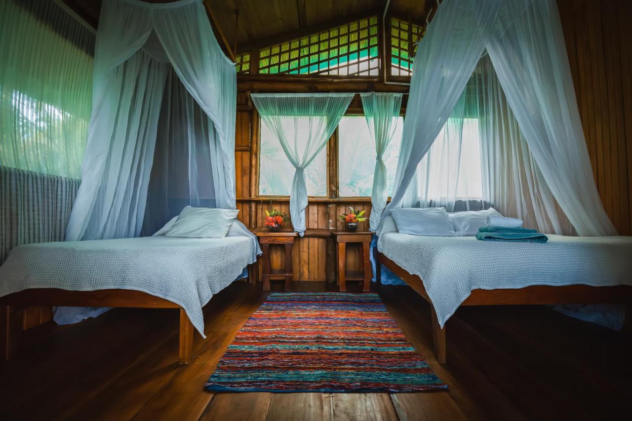 Ocean Forest Ecolodge San Pedrillo Exteriör bild