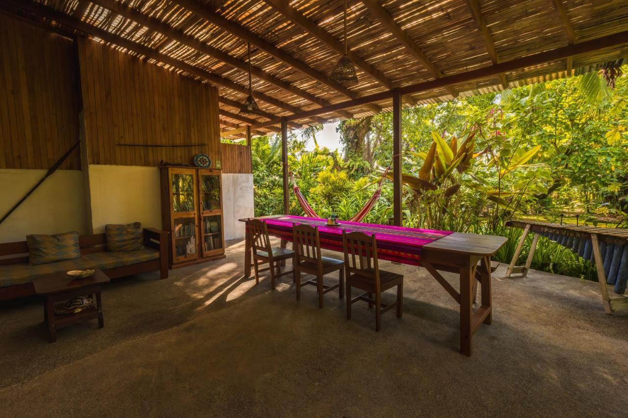 Ocean Forest Ecolodge San Pedrillo Exteriör bild