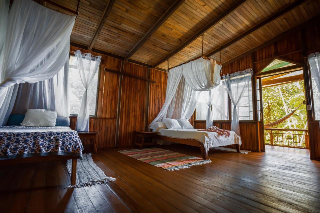 Ocean Forest Ecolodge San Pedrillo Exteriör bild