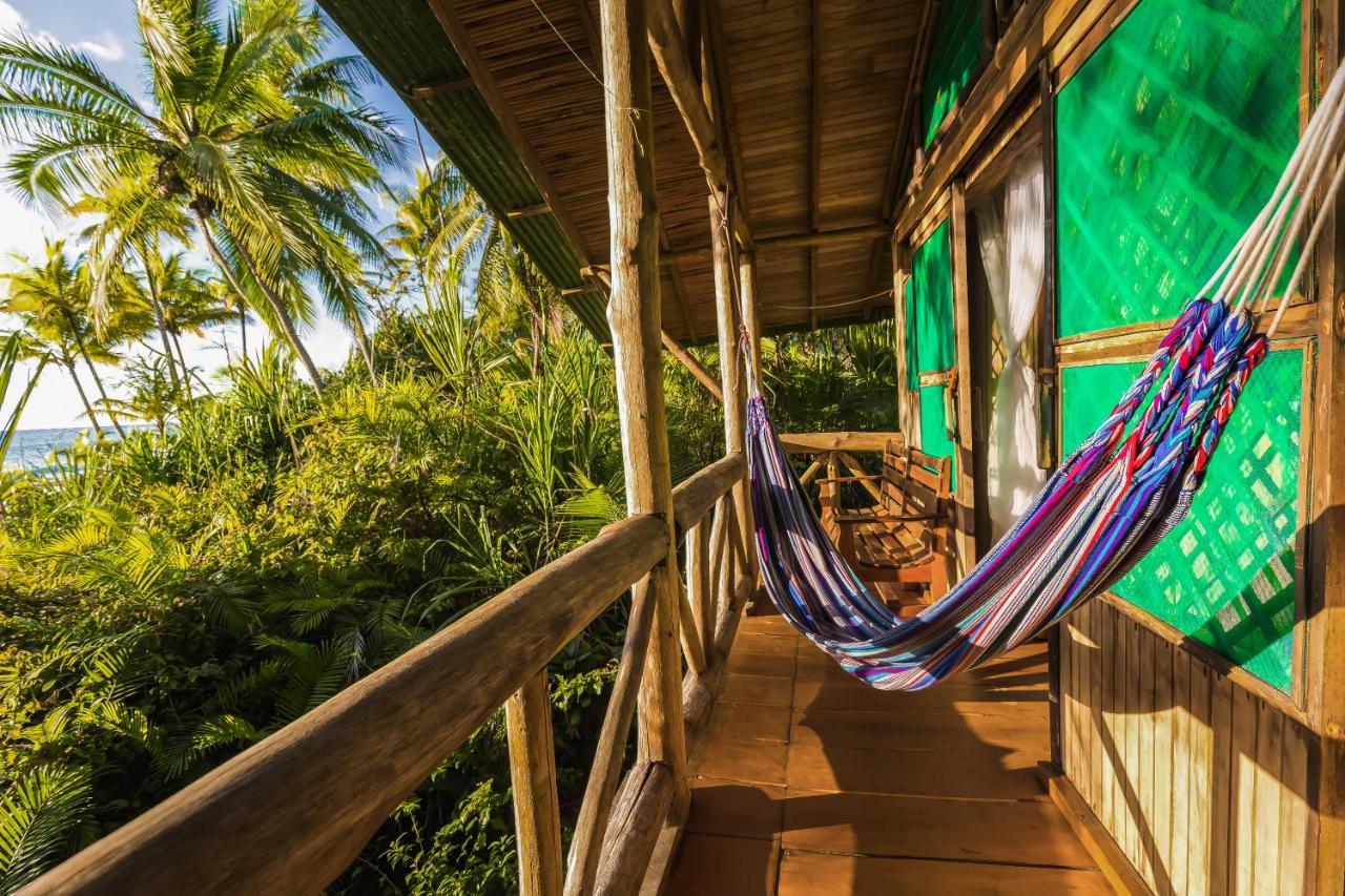 Ocean Forest Ecolodge San Pedrillo Exteriör bild