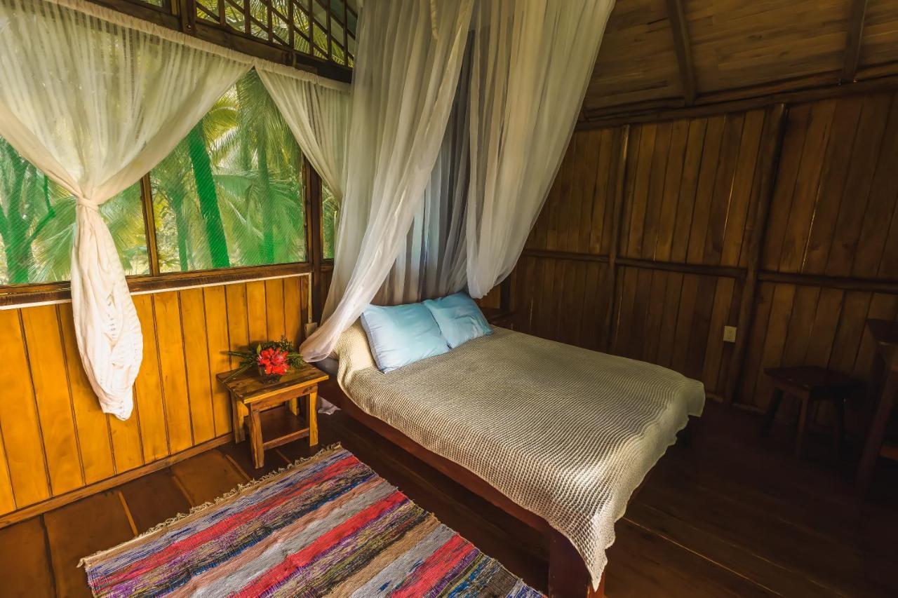 Ocean Forest Ecolodge San Pedrillo Exteriör bild