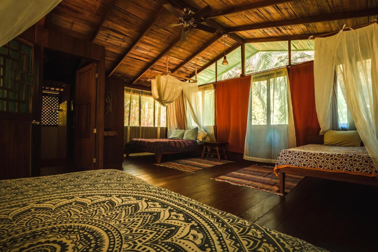 Ocean Forest Ecolodge San Pedrillo Exteriör bild