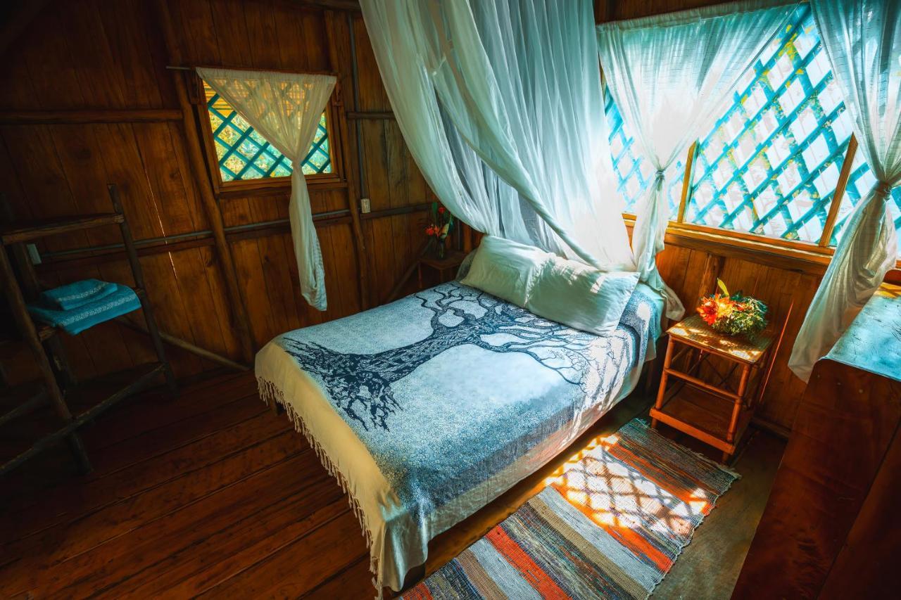 Ocean Forest Ecolodge San Pedrillo Exteriör bild