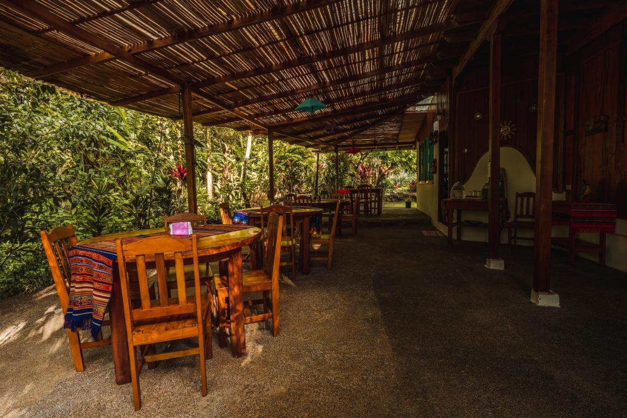 Ocean Forest Ecolodge San Pedrillo Exteriör bild