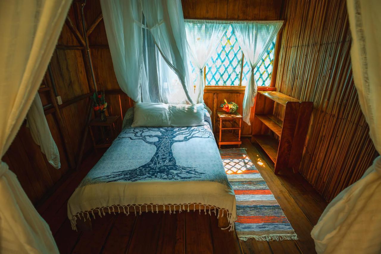 Ocean Forest Ecolodge San Pedrillo Exteriör bild
