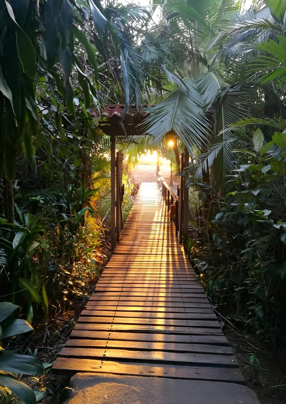 Ocean Forest Ecolodge San Pedrillo Exteriör bild