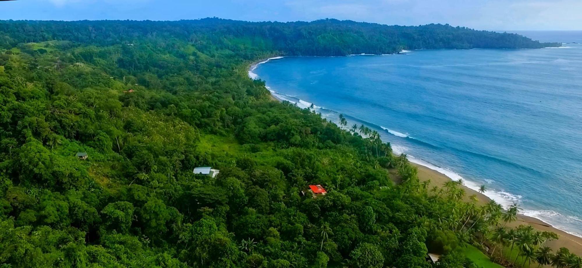 Ocean Forest Ecolodge San Pedrillo Exteriör bild