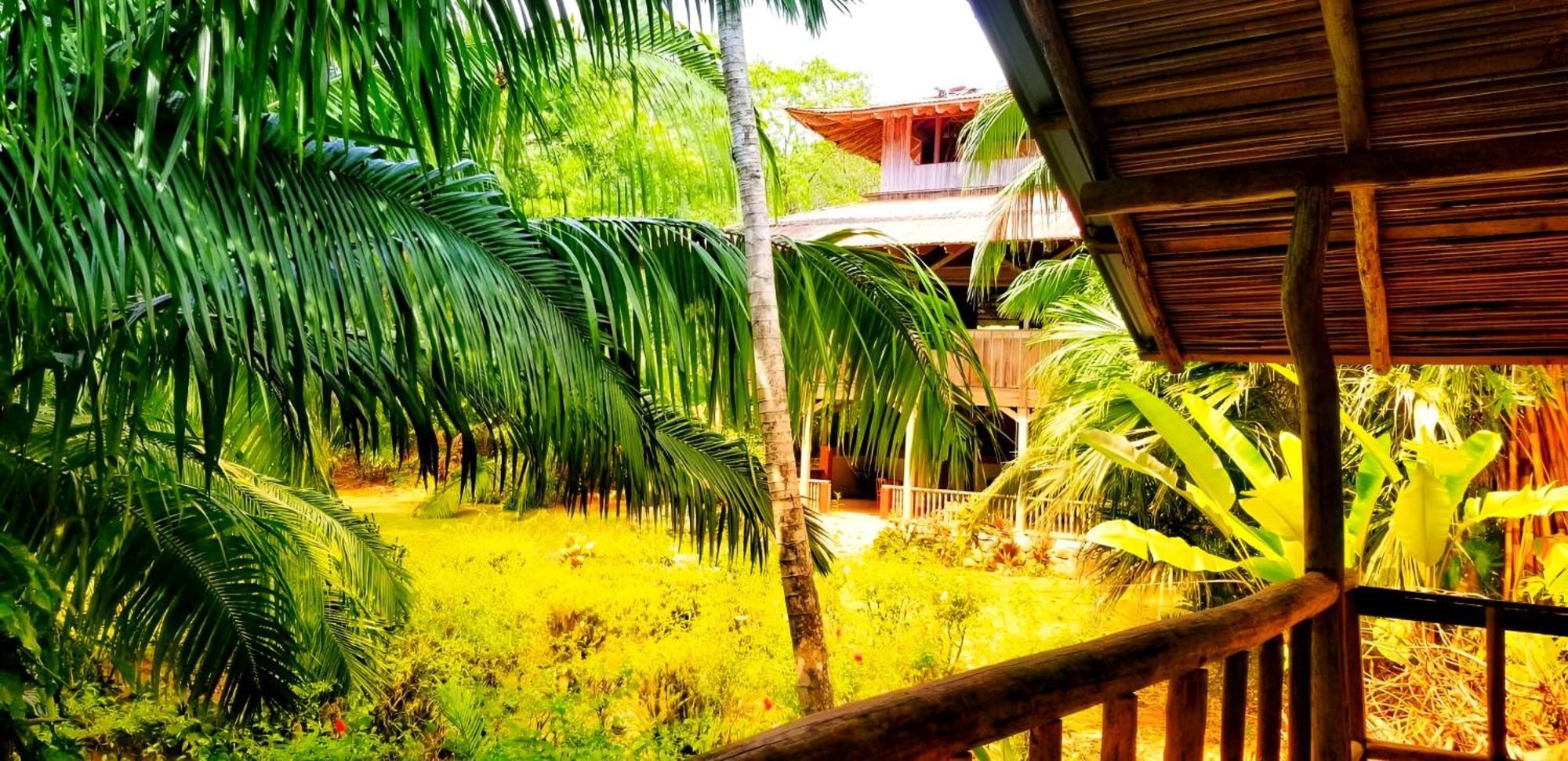 Ocean Forest Ecolodge San Pedrillo Exteriör bild