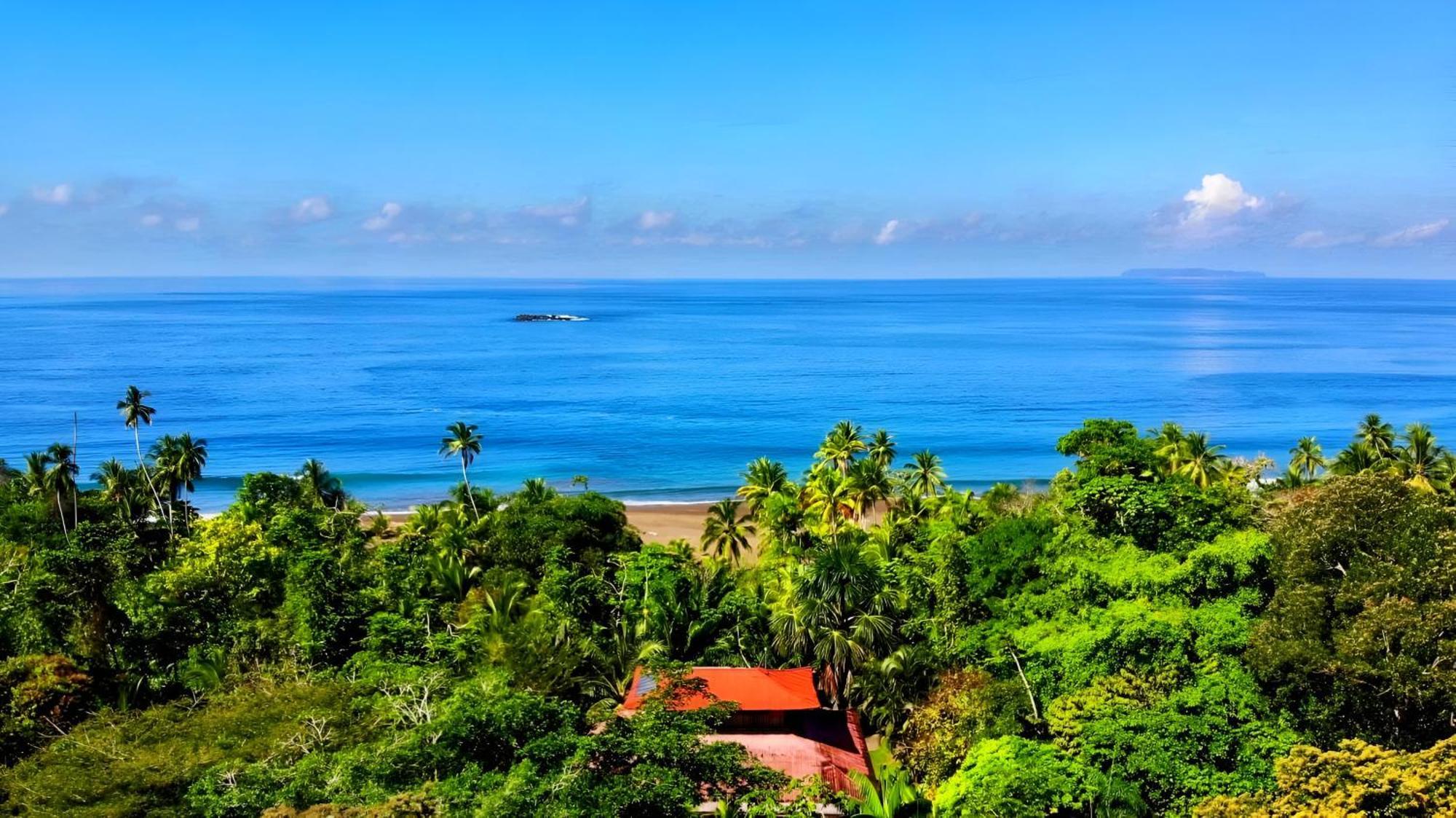 Ocean Forest Ecolodge San Pedrillo Exteriör bild