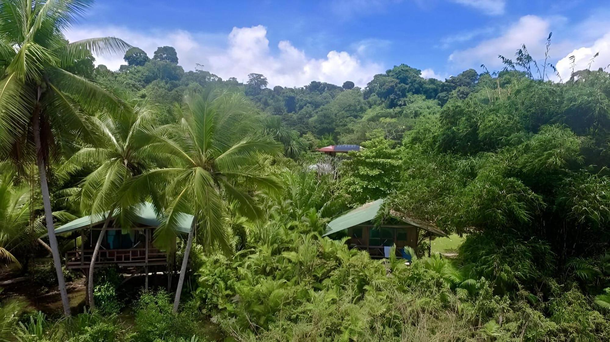 Ocean Forest Ecolodge San Pedrillo Exteriör bild
