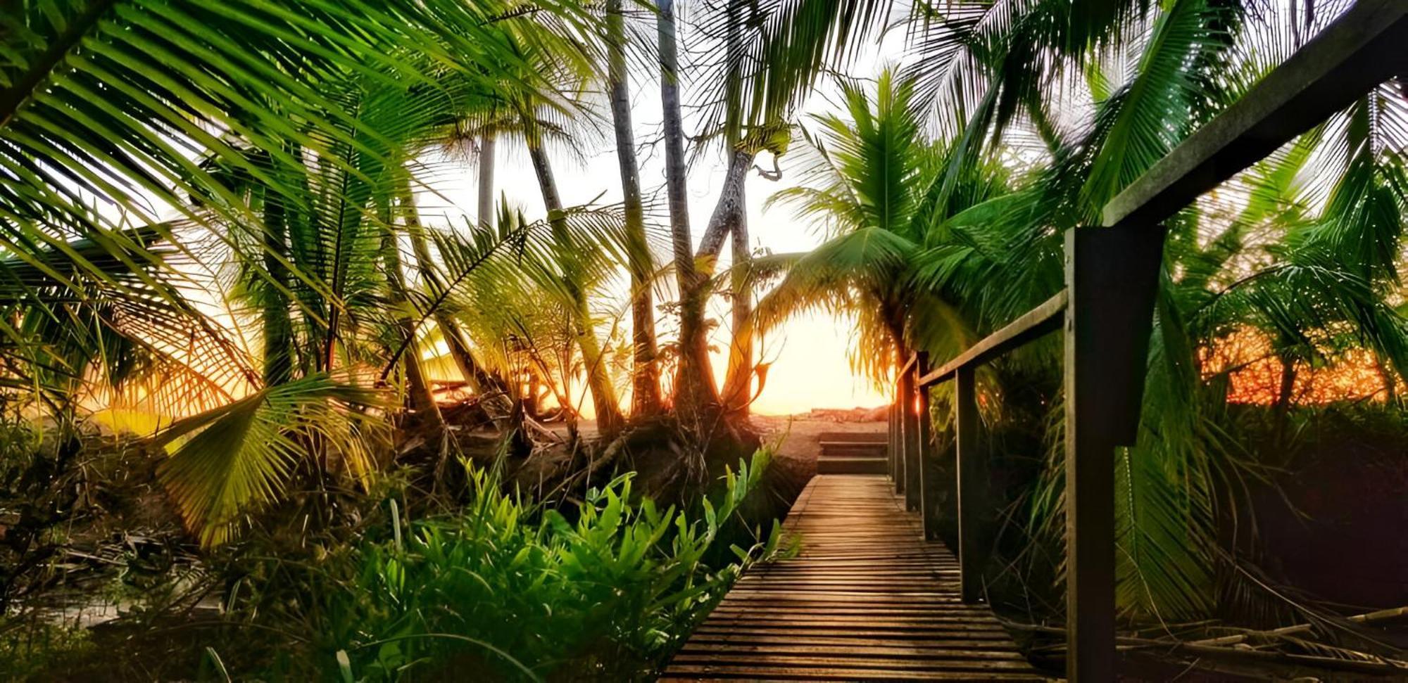 Ocean Forest Ecolodge San Pedrillo Exteriör bild