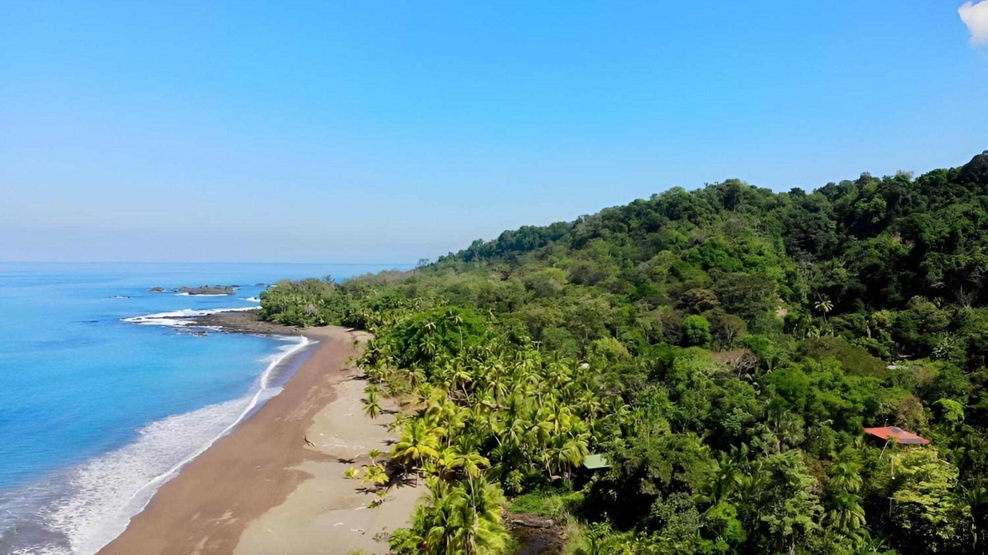 Ocean Forest Ecolodge San Pedrillo Exteriör bild