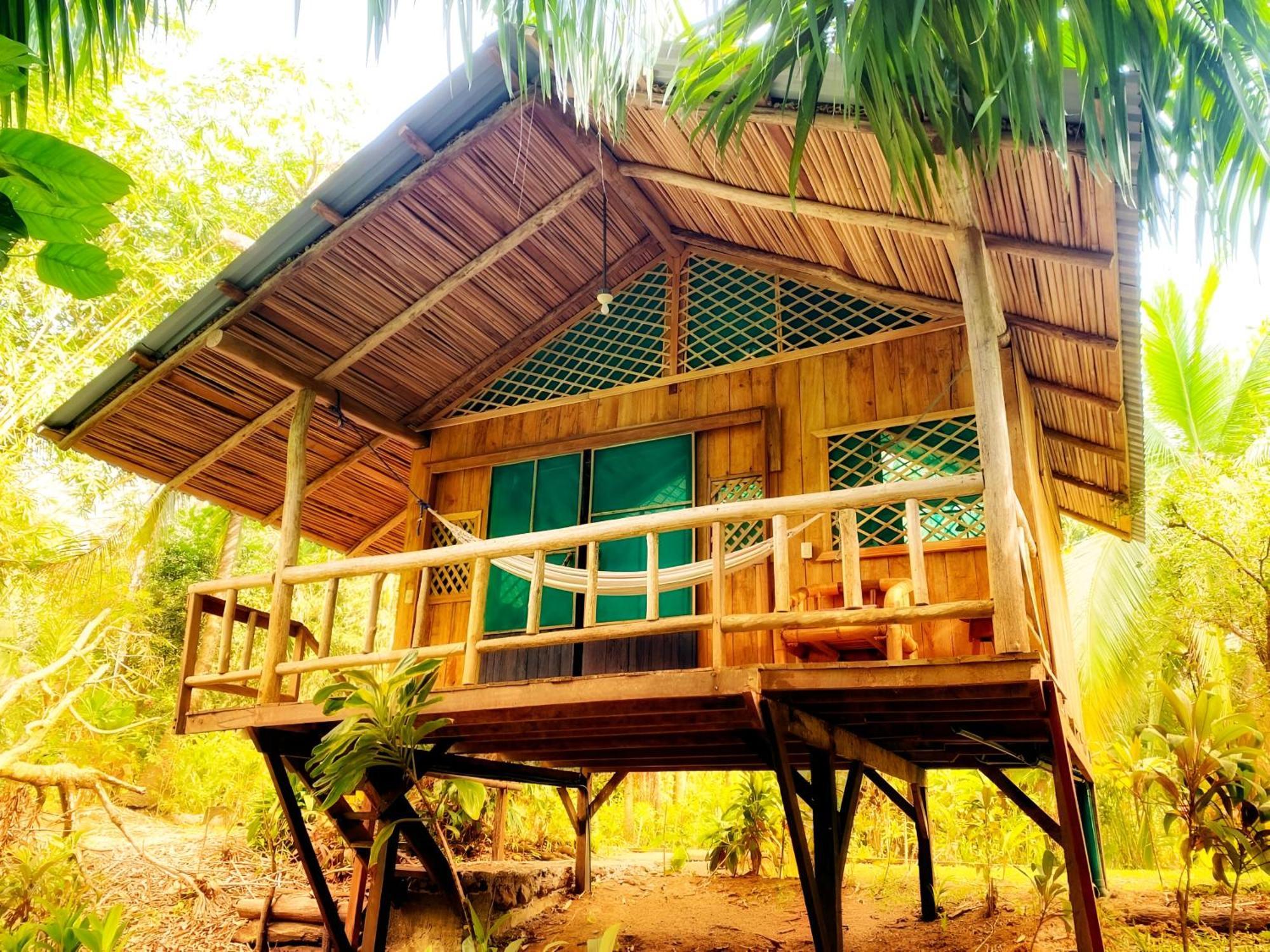 Ocean Forest Ecolodge San Pedrillo Exteriör bild